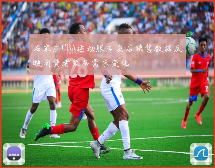 石家庄CBA运动服专卖店销售数据反映消费者装备需求变化