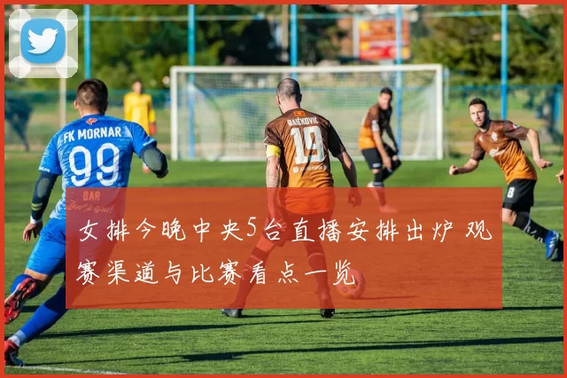 女排今晚中央5台直播安排出炉 观赛渠道与比赛看点一览