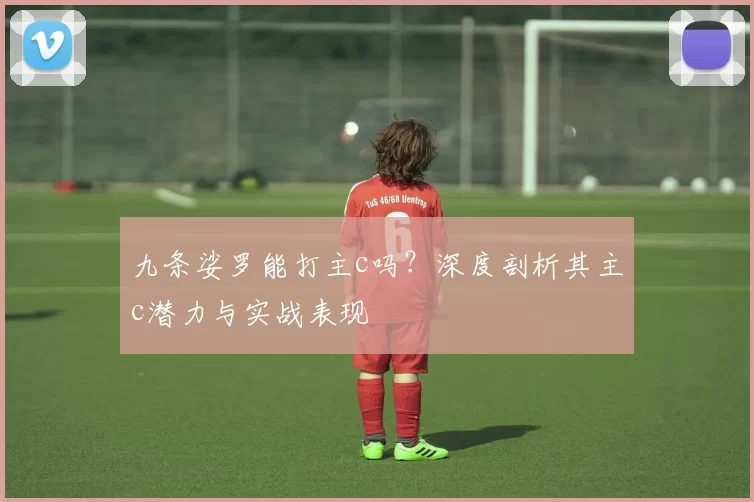 九条娑罗能打主c吗？深度剖析其主c潜力与实战表现